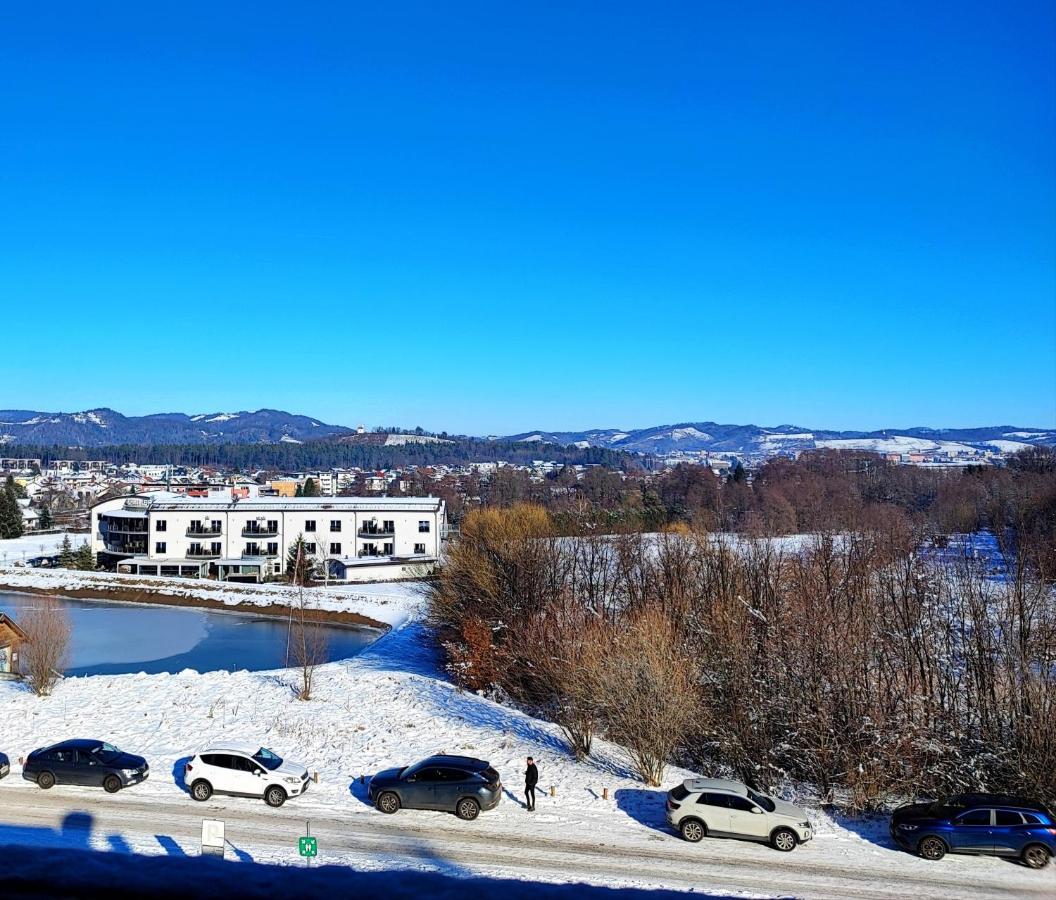Villa Mari I Марибор Экстерьер фото