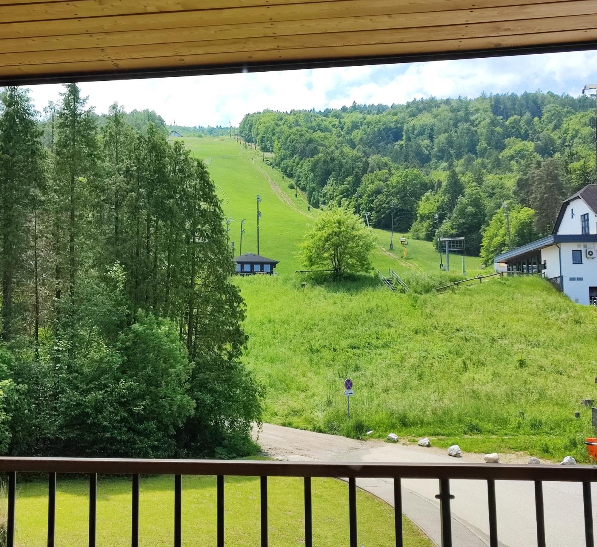 Villa Mari I Марибор Экстерьер фото